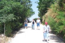 We walked them around in Granada also.   Coming down from the Abadia.