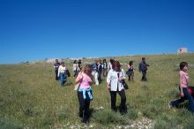The herd moving to the next excavation on the site.