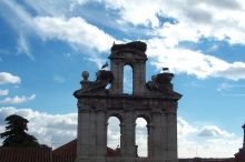 Las cigueñas, storks, are very common throughout central Spain.  They build their huge nests on top of churches, chimneys, or in high trees.