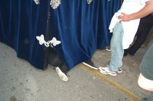 The floats are not driven by a vehicle with a motor.  They are usually cared by 32 to 40 people, both men and women.  The floats weigh between 1300 and 1600 kilograms.