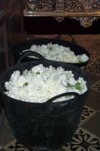 Flowers ready to put on the passo.