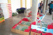 It took a lot of flowers.  This is an example of how many. 