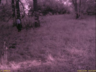 What kind of animal is that???