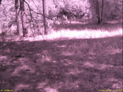 How come we cannot see anything?