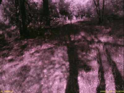 Again, where did they go?