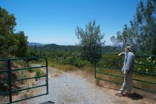 George marvelling at all the weeds that have grown up on the road.