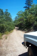 The view as we drive away from the gate to Al Andalus.